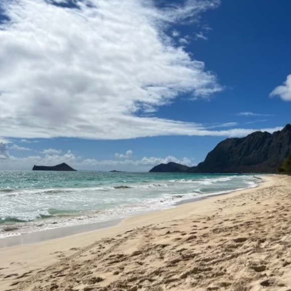 Kate Spade♠︎Leather handle bag - Picture 13 of 13